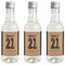 Big Dot of Happiness Finally 21 - 21st Birthday - Mini Wine and Champagne Bottle Label Stickers - 21st Birthday Party Favor Gift - Set of 16